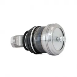 Rotula Inf Caravan 9195 Caravan 9100