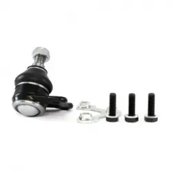 Rotula Inf Der A3 Leon...