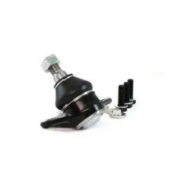 Rotula Inf Der A3 Leon Toledo 0105