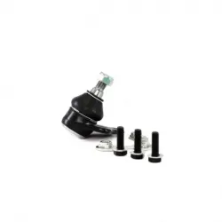 Rotula Inf iZQ A3 Leon Toledo 0105