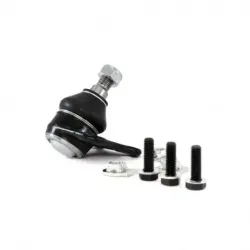 Rotula Inf Der A3 Leon Toledo 0105