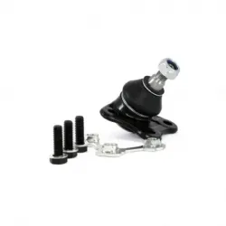 Rotula Inf Der A3 Leon Toledo 0105