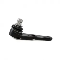 Rotula Inf Pointer 9709...