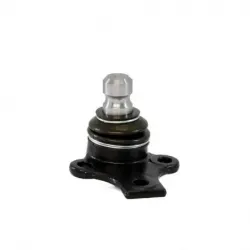 Rotula Inf Cordoba 0102...