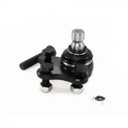 Rotula Inf Contour 9501...