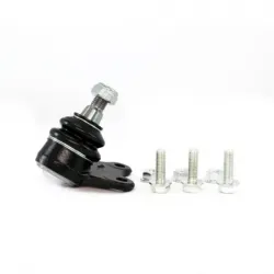 Rotula Inf Izq Cordoba Ibiza 0308