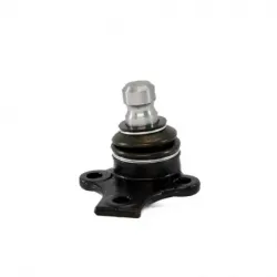 Rotula Inf Cordoba 0102 Ibiza 010