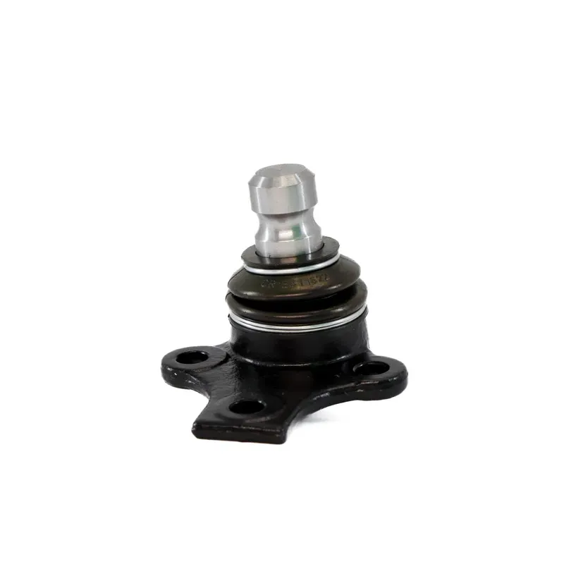 Rotula Inf Cordoba 0102 Ibiza 010