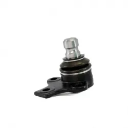 Rotula Inf Cordoba 0102 Ibiza 010