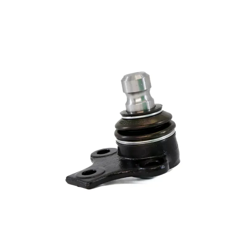 Rotula Inf Cordoba 0102 Ibiza 010