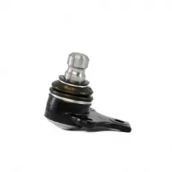 Rotula Inf Cordoba 0102 Ibiza 010