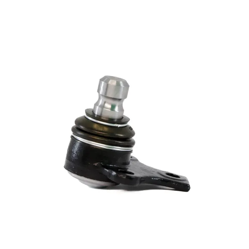 Rotula Inf Cordoba 0102 Ibiza 010