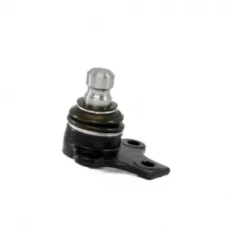 Rotula Inf Cordoba 0102 Ibiza 010