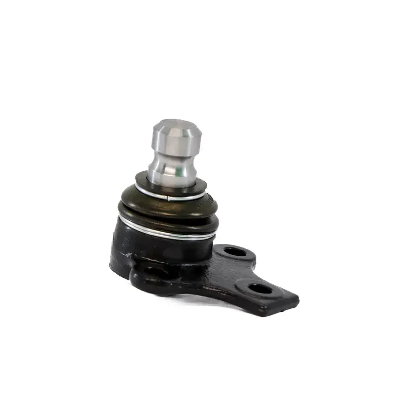 Rotula Inf Cordoba 0102 Ibiza 010