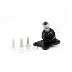 Rotula Inf Izq Cordoba Ibiza 0308