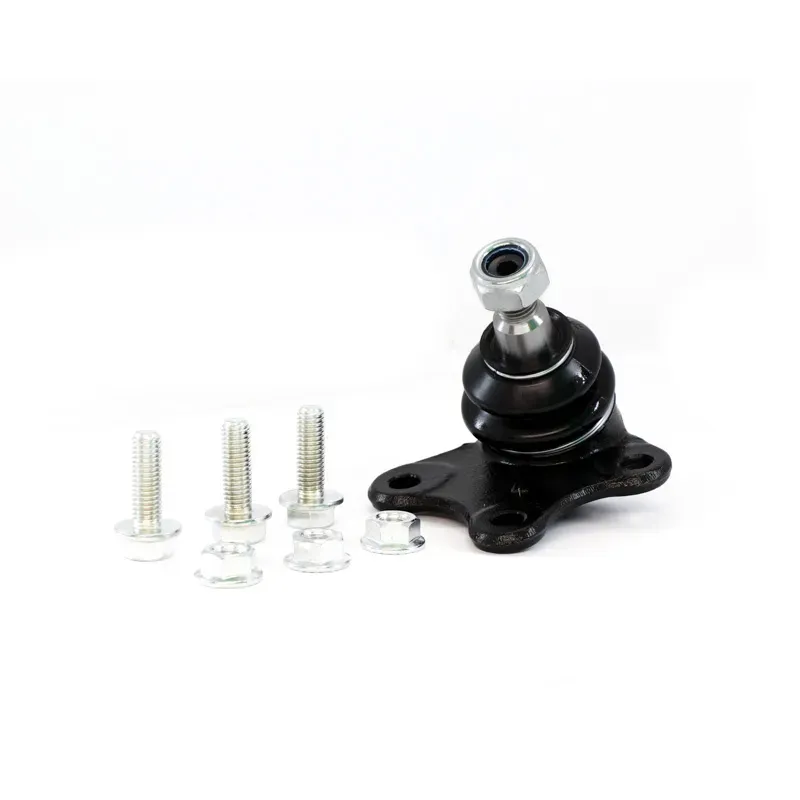 Rotula Inf Izq Cordoba Ibiza 0308