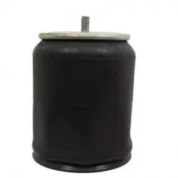 Bolsa de aire hendrickson...