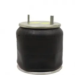 Bolsa de aire susp Hendrickson