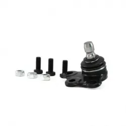 Rotula Inf Corsa 0109...