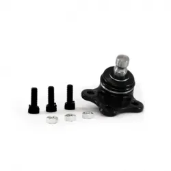 Rotula Inf Ecosport 0312...