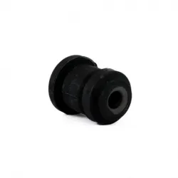 Bujes Inf Del Focus 0006