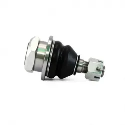 Rotula Inf Frontier 9804...