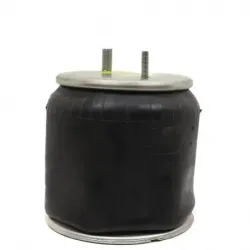 Bolsa de aire susp Hendrickson