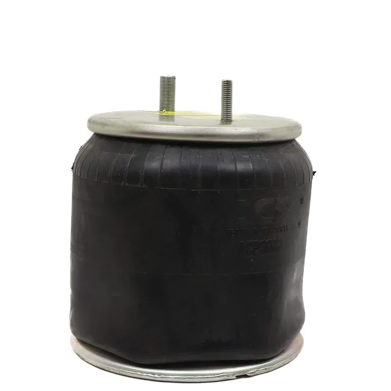 Bolsa de aire susp Hendrickson