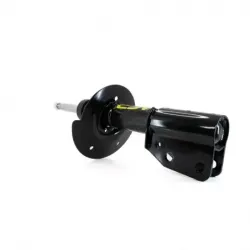 Amortiguador del para...