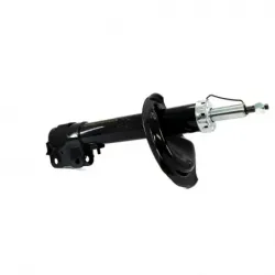 Amort Del Izq ASX 1315...