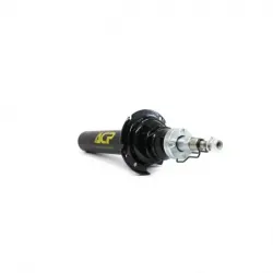 Amortiguador delizq para bmw