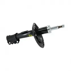 Amort Del Der Sienna 0610