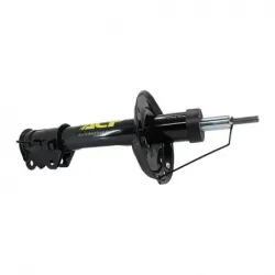 Amort DI Neon nvo diseño...