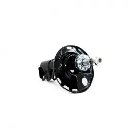 Amortiguador Del Der...