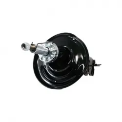 Amort Del Der Safrane 1215