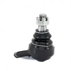 P Rotula Inf Dakota 9704...