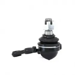 Rotula Inf Canyon 4x2 0415