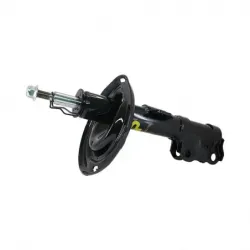 Amort DI Toyota Camry se 1217