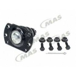 Rotula Inf Regal 8896...