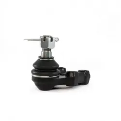 Rotula Inf Urvan 0014