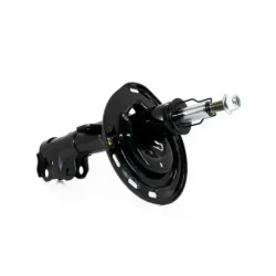 Amort DD Toyota Camry se 1217