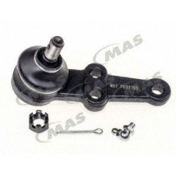 Rotula Inf Ninja 8487...