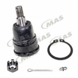 Rotula Inf Element 0311