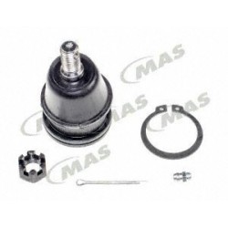 Rotula Inf Verna 0309...