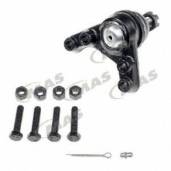 Rotula Sup Der Prerunner...