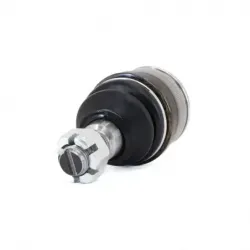 P Rotula Inf Excur2on 9906...