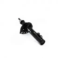 Amortiguador delder para ford mercury