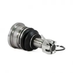 Rotula Inf 0106 Altima 9301