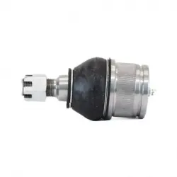 Rotula Inf E250 9206 E350...