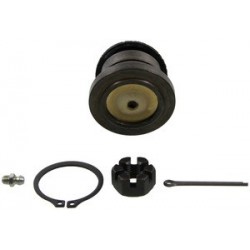 Rotula Superior Delantera